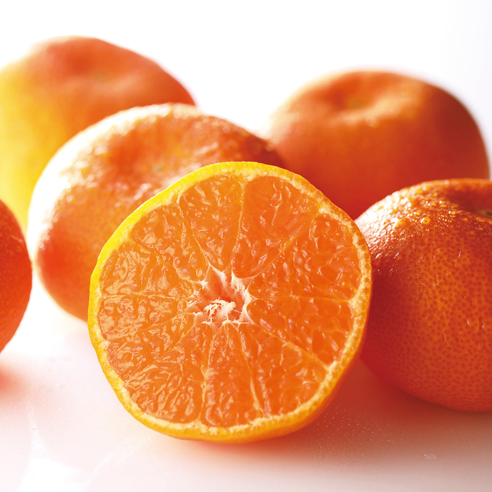 新宿高野 みかんS #12447