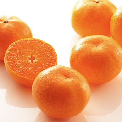 新宿高野 河内高野みかんA #12164