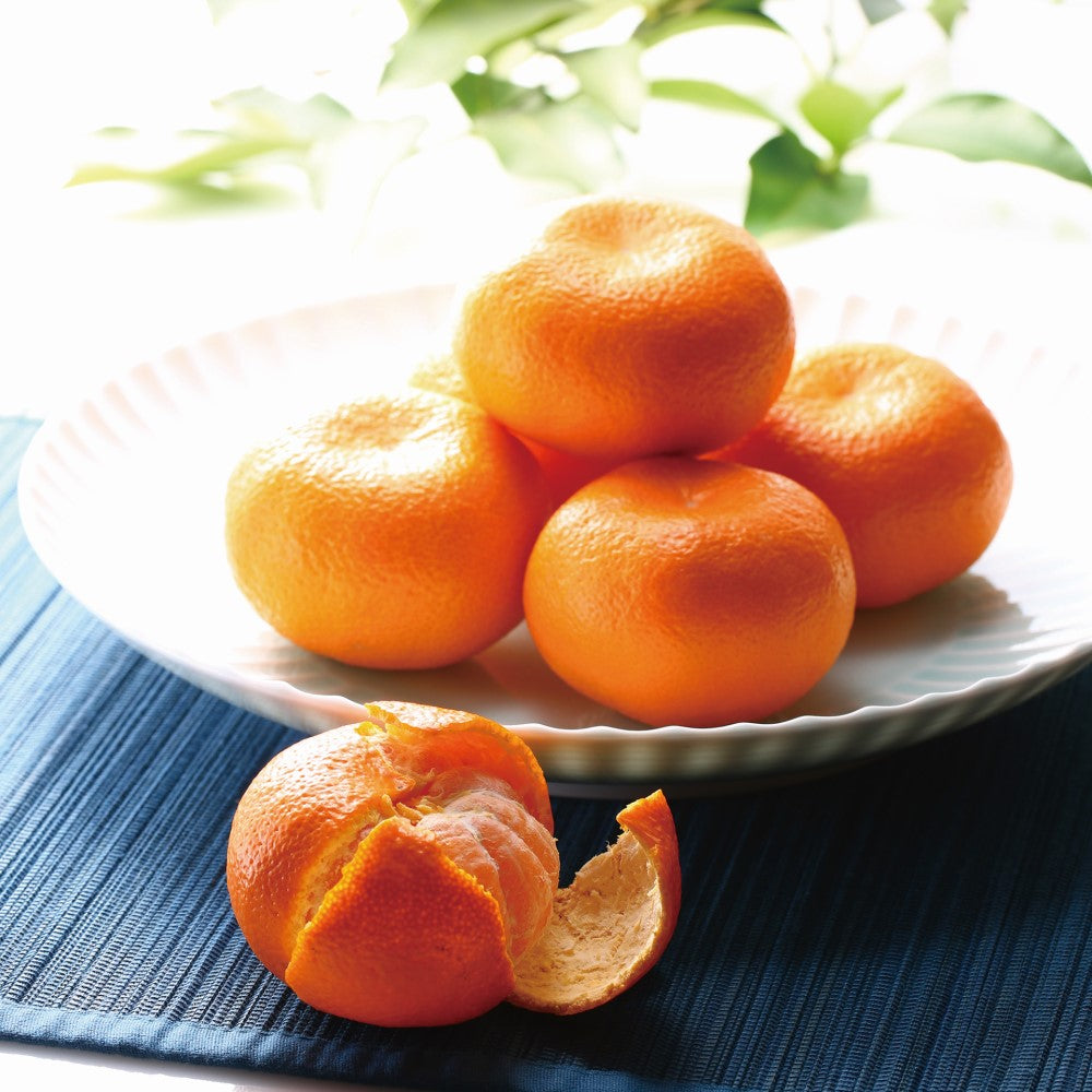 新宿高野 青島みかん | お歳暮 ギフト 贈り物 フルーツ 内祝い 誕生日