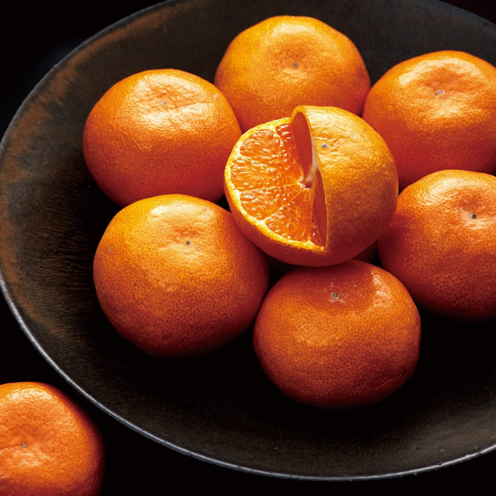 新宿高野 愛媛みかん #12027