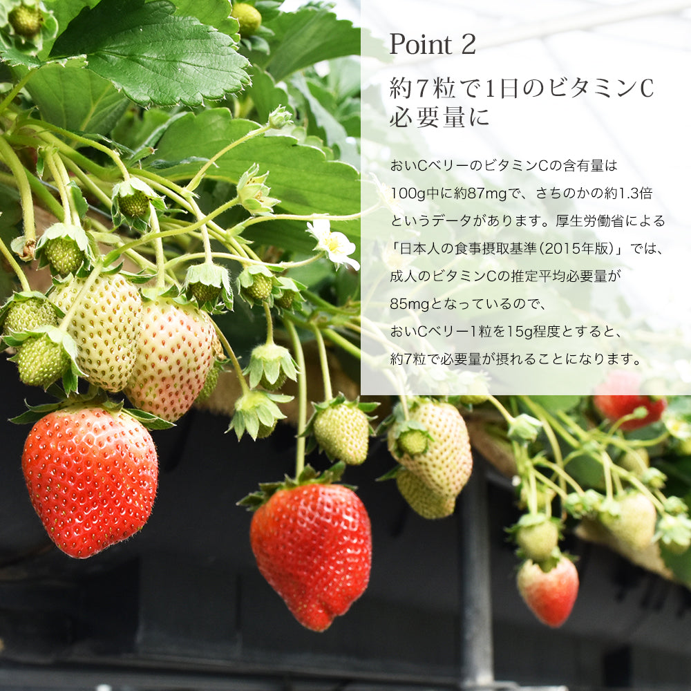 新宿高野 おいＣベリー9＆旬果EC #29100