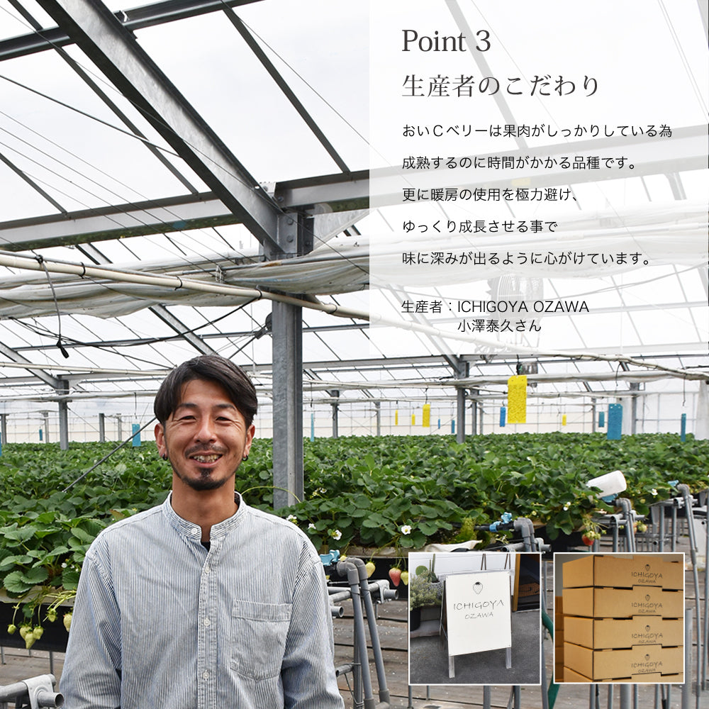 新宿高野 おいＣベリー9＆旬果EC #29100