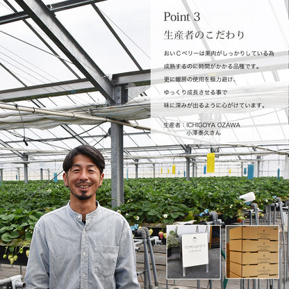 新宿高野 おいＣベリー9＆旬果EC #29100