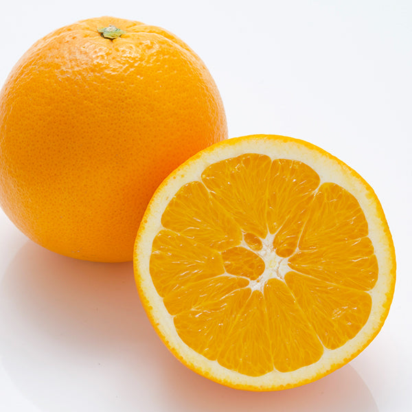 新宿高野 フルーツバラエティーセットB #23115