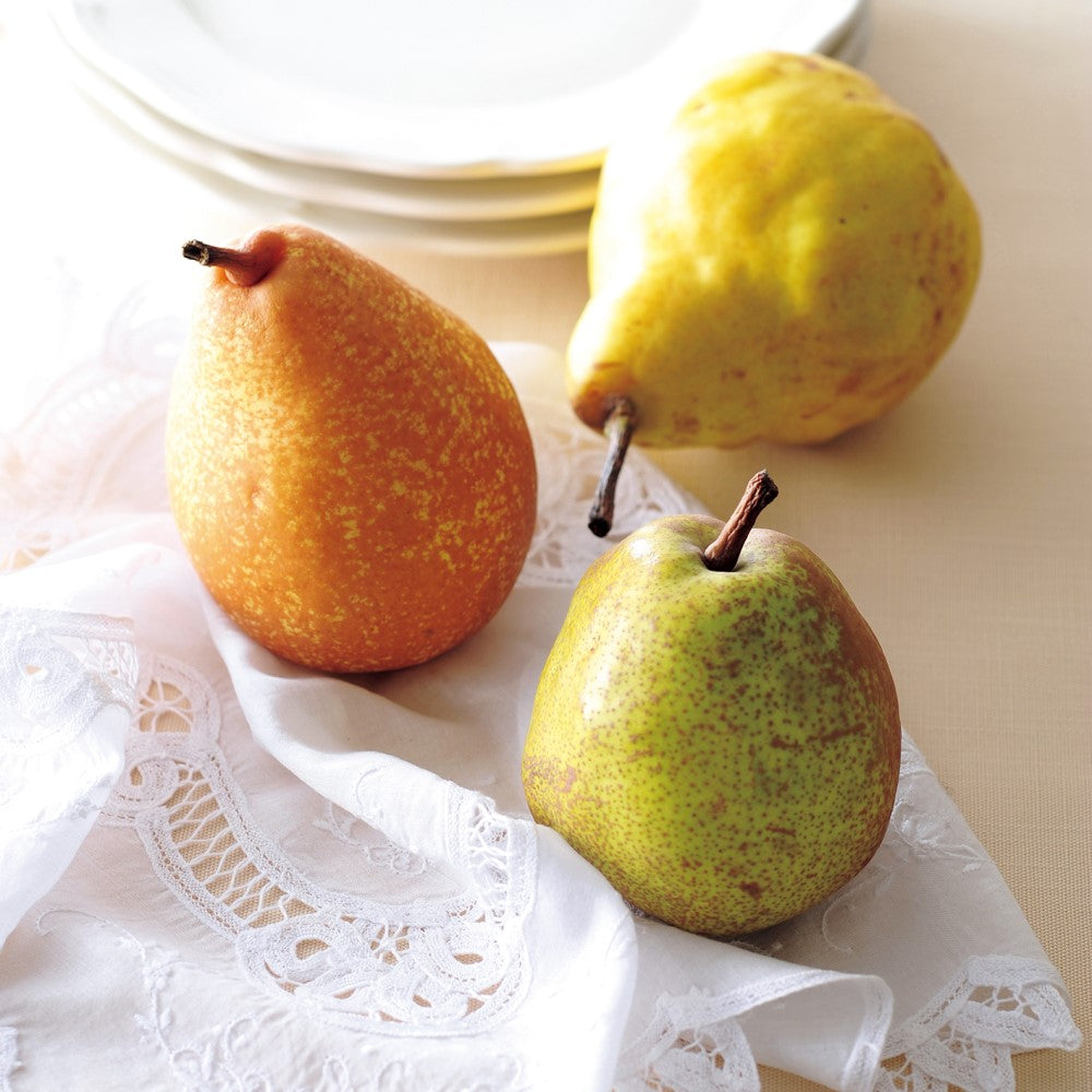 新宿高野 ル・レクチェ #14298