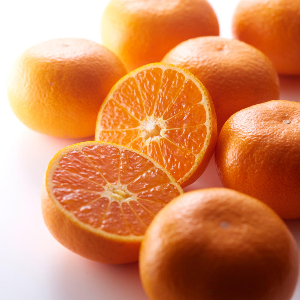 新宿高野 丹生系／葵クラブみかん24入 #29100