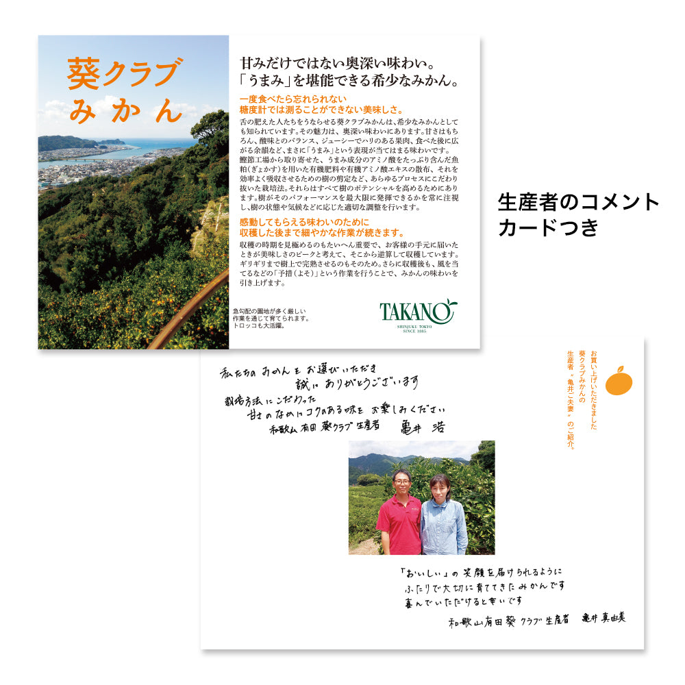 新宿高野 葵クラブみかん＆旬果D #29100