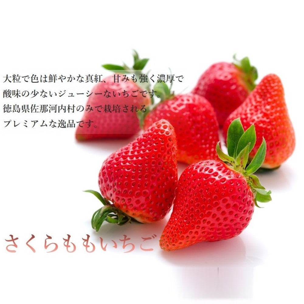 新宿高野 さくらももいちご9バスケットB #29100