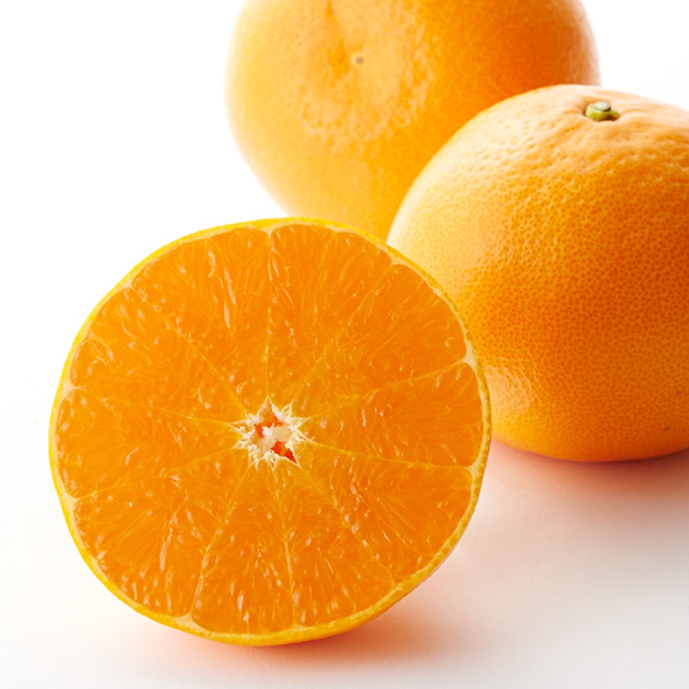 新宿高野 春のお祝いギフトEJ #29100