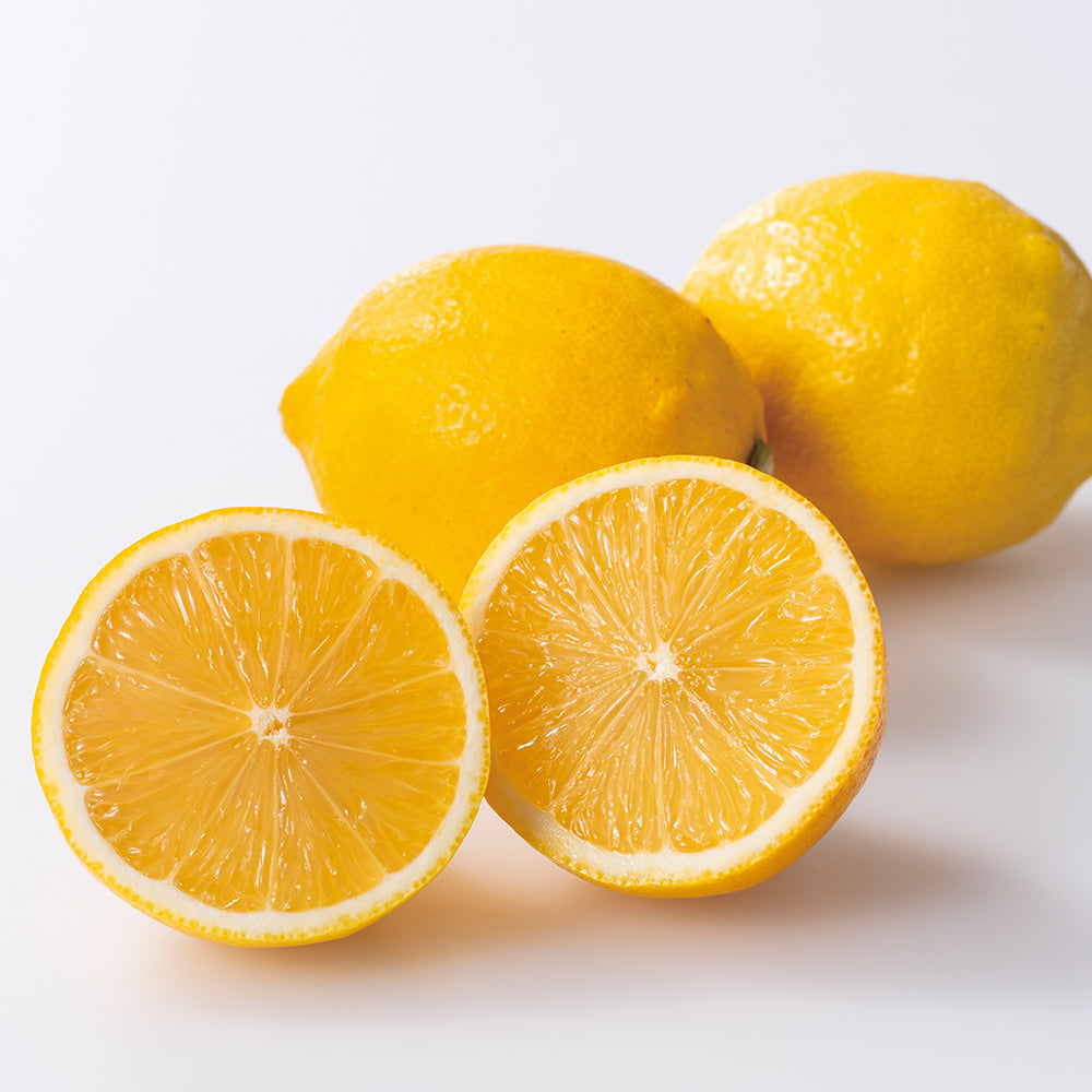 新宿高野 母の日 フルーツ＆ピュアゼリー #93552