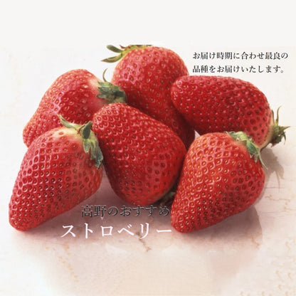 新宿高野 クリスマスストロベリーA #94887