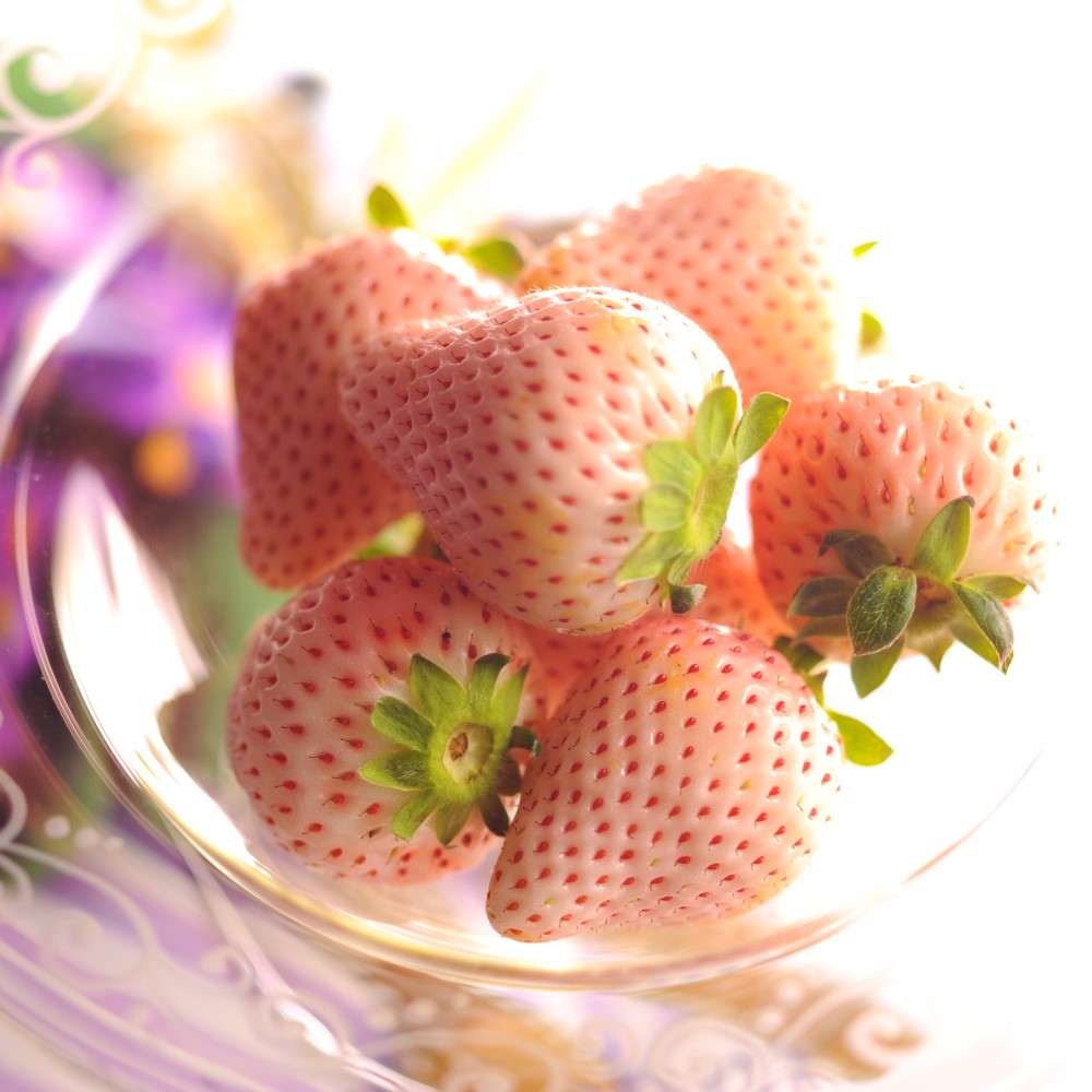 新宿高野 初恋の香り＆苺9バスケットB #29100