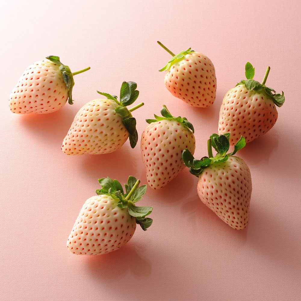 新宿高野 クリスマス苺 紅白セット #94993