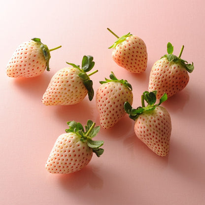 新宿高野 クリスマス苺 紅白セット #94993