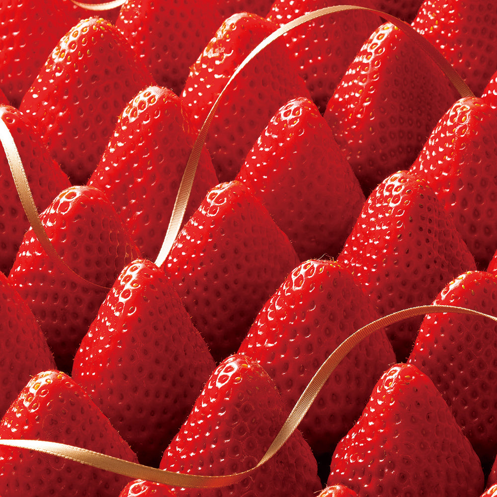 新宿高野 クリスマスストロベリーA #94887