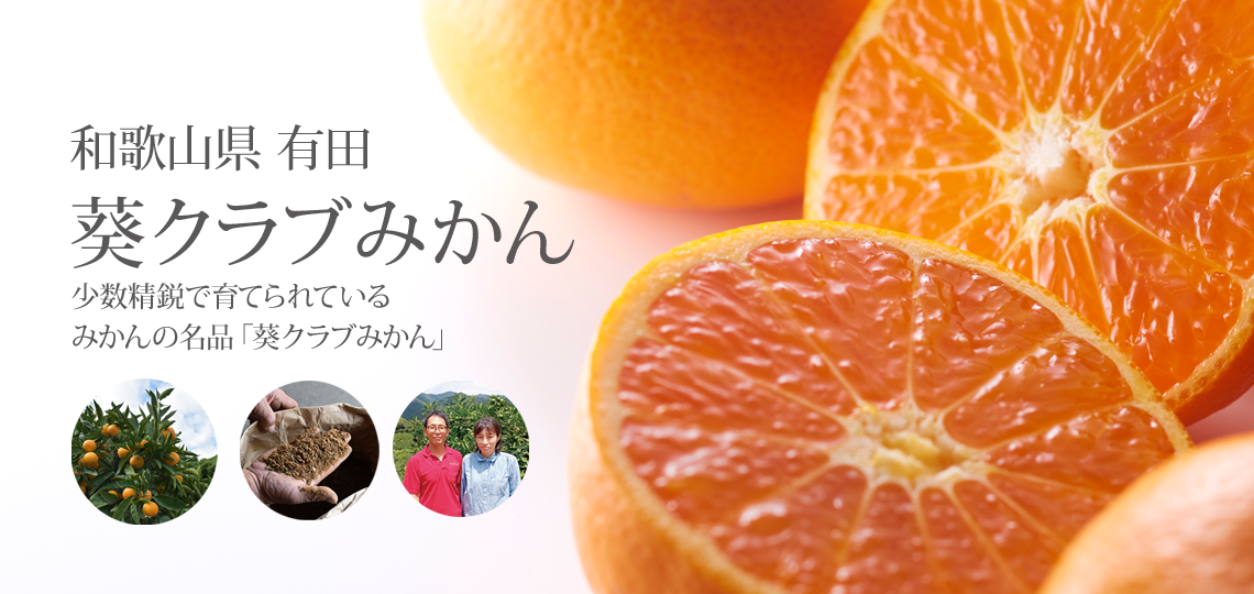 葵クラブみかん