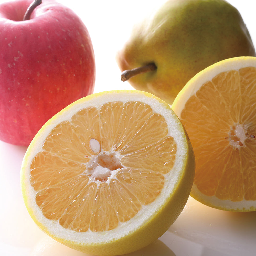 新宿高野 フルーツカルテットB #23047