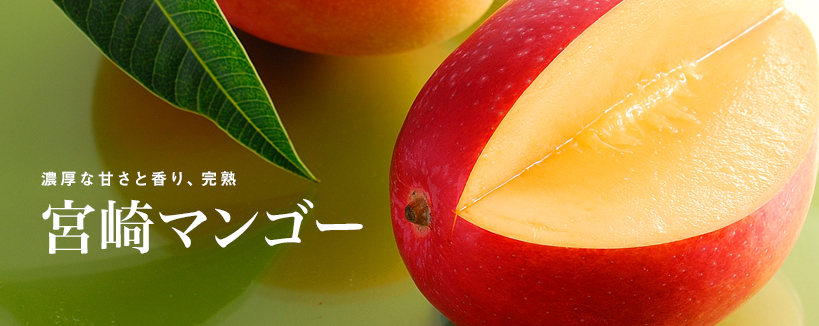 宮崎マンゴー | 新宿高野オンラインショップ | 高級フルーツ・ギフトの果物専門店