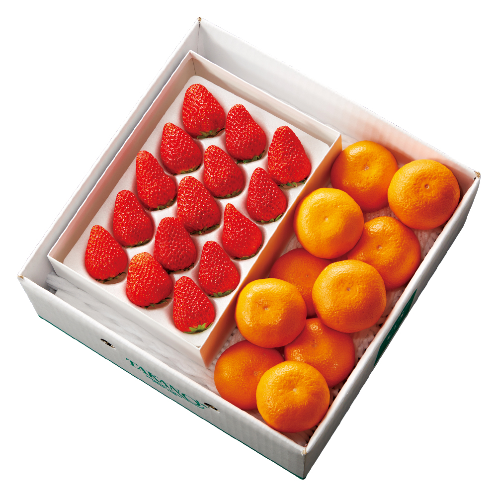 柑橘 | 新宿高野オンラインショップ | 高級フルーツ・ギフトの果物専門店