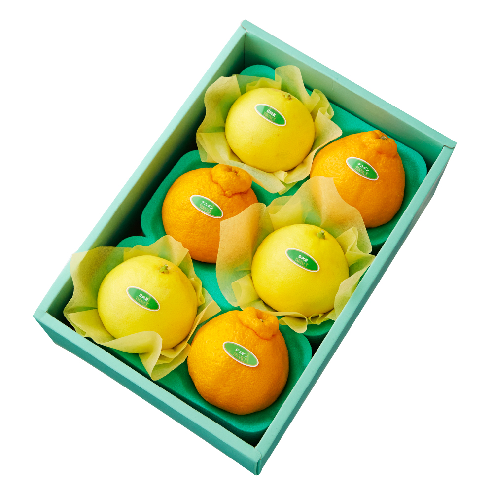 柑橘 | 新宿高野オンラインショップ | 高級フルーツ・ギフトの果物専門店